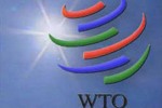 Эксперты Минэкономразвития приветствуют вступление России в ВТО