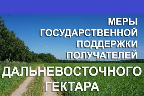 Почти 2 млрд рублей планируют направить в 2018 году на меры поддержки для получателей «дальневосточных гектаров»