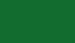 Гладкий лист RAL 6029 мятно-зеленый окрашенный с завода