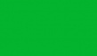 Гладкий лист RAL 6038 люминесцентный зеленый окрашенный с завода
